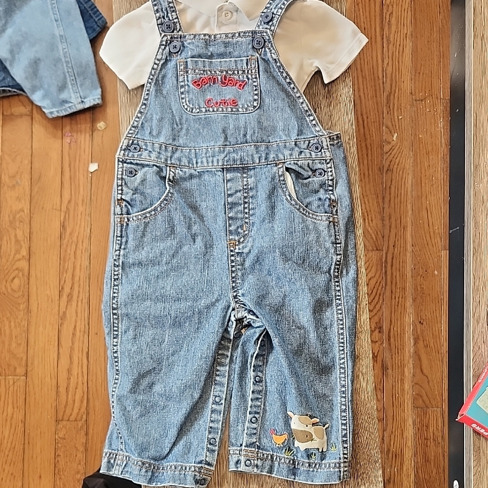Gymboree Blue Denim Overalls with Embroidery